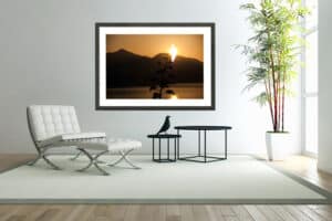 Natur 4009